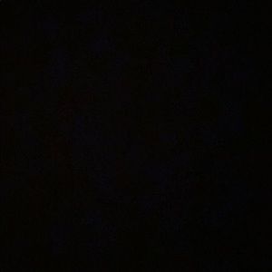 Meet your Posher, Meghan